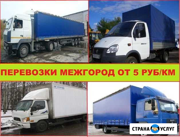Грузоперевозки Волгоград / Россия Волгоград - изображение 1