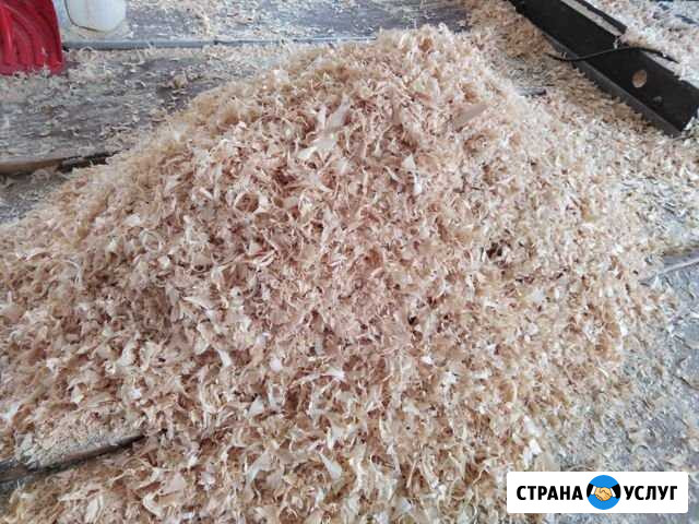 Доставка стружка (опилки) Васкелово - изображение 1