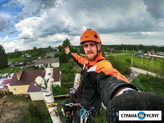 Удаление деревьев,обрезка;дробление пней. г.Вичуга Вичуга - изображение 1