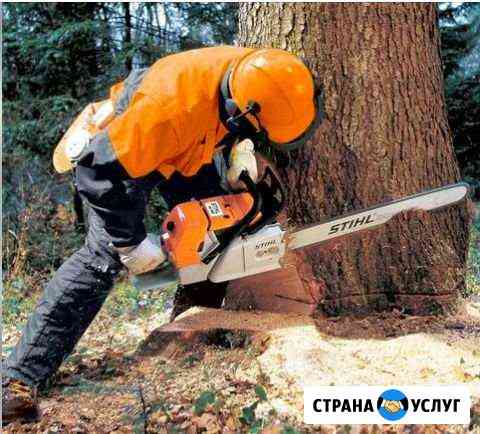 Расчистка Участка, Спил дерева, Вывоз мусора Сочи