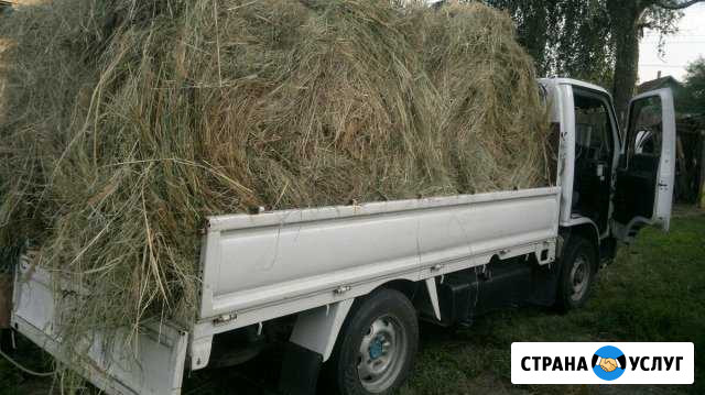 Грузоперевозки Новозыбков - изображение 1