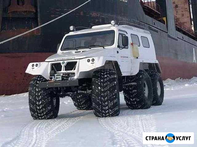 Трэкол 39294D -в аренду с водителем+ прицеп или са Яр-Сале - изображение 1
