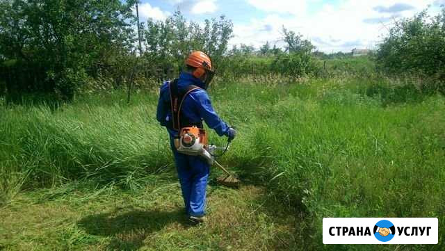 Покос травы Саров - изображение 1