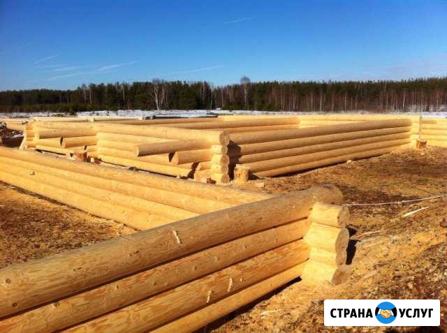 Срубы на заказ Гусь-Хрустальный - изображение 1