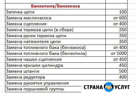 Ремонт бензоинструмента Бердск - изображение 1