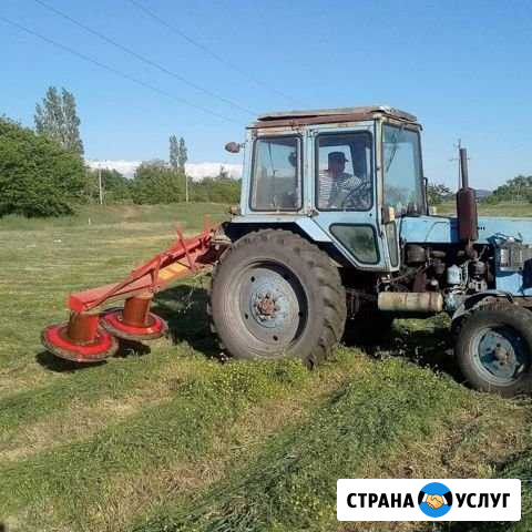 Покос травы трактором Анапская - изображение 1