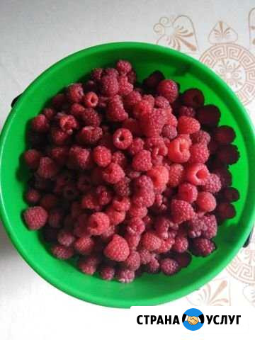 Продам малину Лебяжье - изображение 1