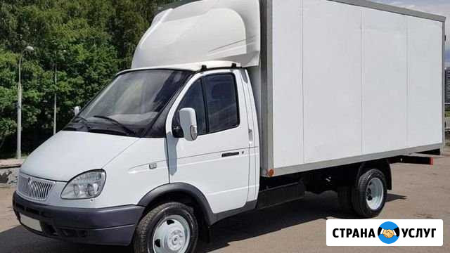 Вывоз мусора Ломоносов - изображение 1