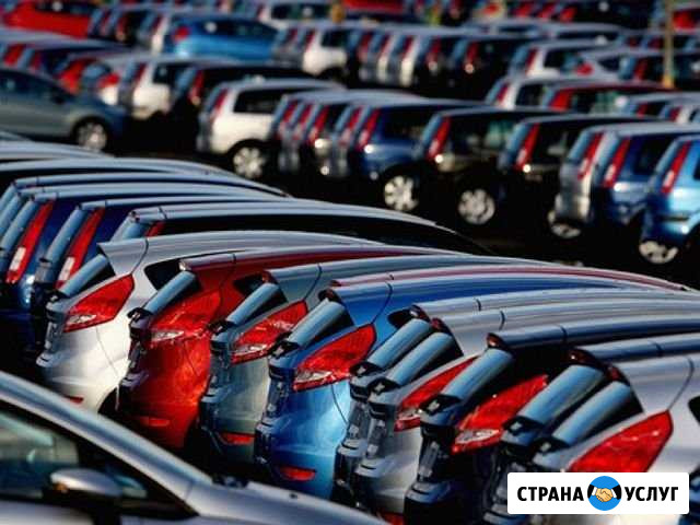 Трансфер в Аэропорт, по Крыму и РФ Симферополь - изображение 1