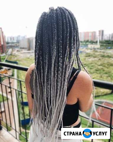 Афрокосички, африканские косички, афрокосы, зизи Мурино - изображение 1