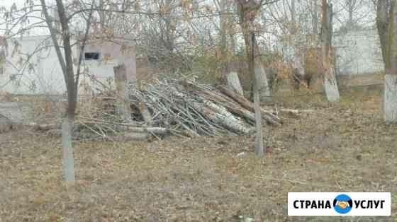 Очистка участков от травы и деревьев Астрахань