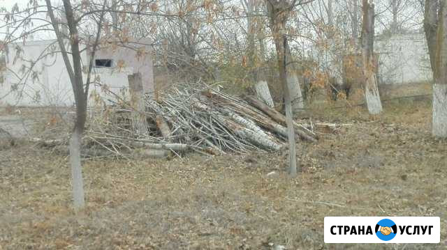 Очистка участков от травы и деревьев Астрахань - изображение 1