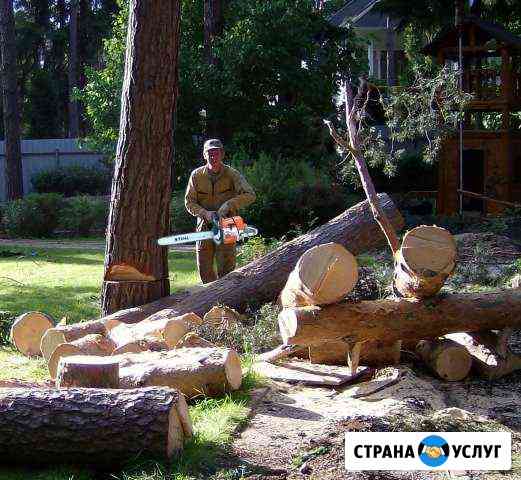 Демонтаж, спил деревьев, уборка участков Тамбов