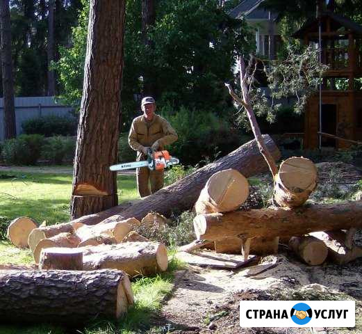 Демонтаж, спил деревьев, уборка участков Тамбов - изображение 1