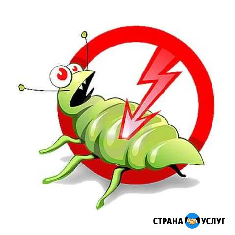 Обработка помещений Глазов - изображение 1
