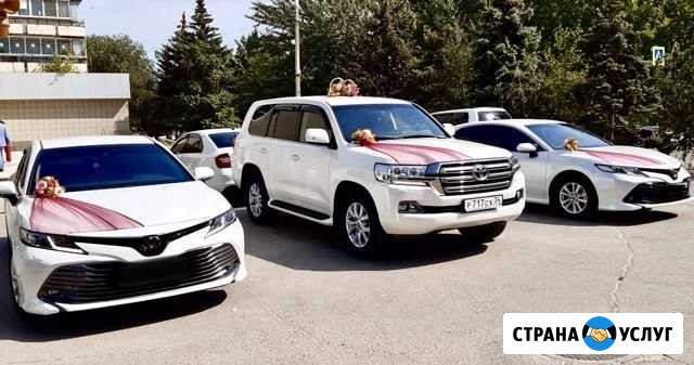 Заказ Авто на свадьбу свадебный кортеж Волгоград - изображение 1