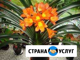 Подготовка к школе. Репетиторство Минеральные Воды - изображение 1