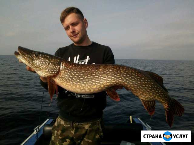 Рыбалка на Рыбинском водохранилище Рыбинск - изображение 1