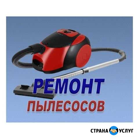 Ремонт Пылесосов Челябинск - изображение 1