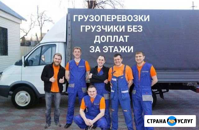 Грузчики, грузоперевозки, переезды Воронеж - изображение 1