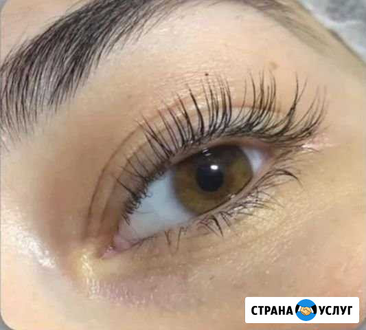 Вельвет+ ботокс3д, Ботокс 6Д, ламинирование ресниц Ачинск - изображение 1