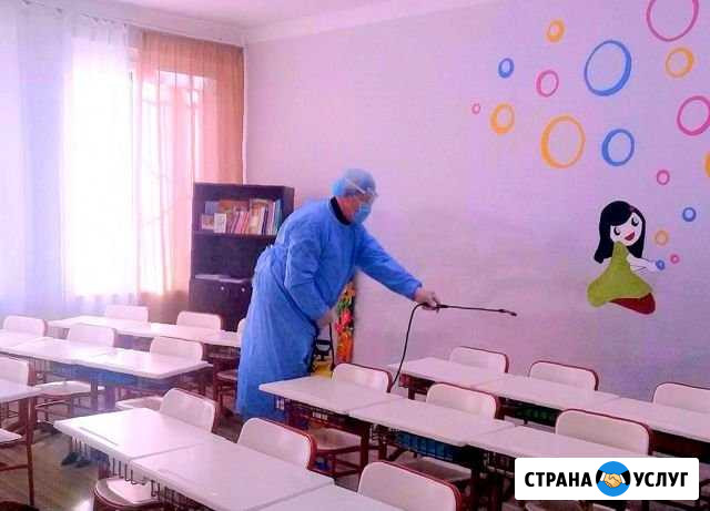 Дезинфекция, дезинсекция, дератизация, гарантия Саратов - изображение 1