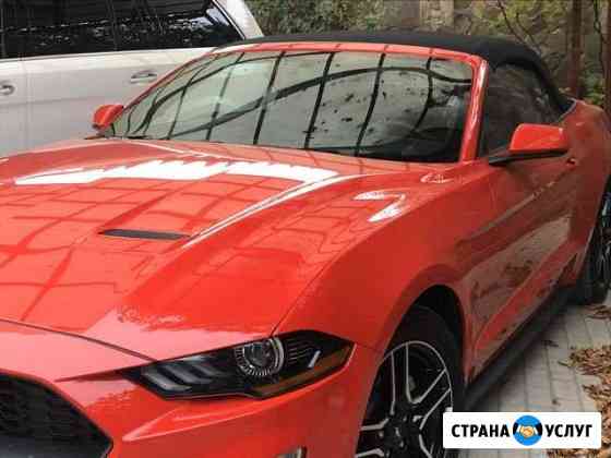 Аренда Автомобиля (Прокат) Ford Mustang с водителе Ялта