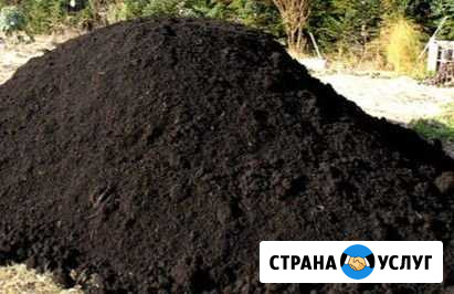 Земля для теплиц и газонов Выборг - изображение 1
