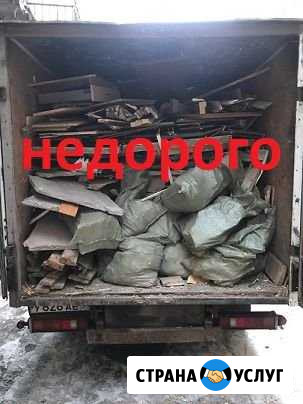 Вывоз мусора Зеленогорск - изображение 1