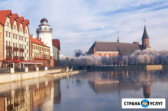 Проведение экскурсий по Калининграду и области Калининград - изображение 1