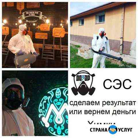 Уничтожение Клопов Тараканов Клещей Кротов Мышей Химки