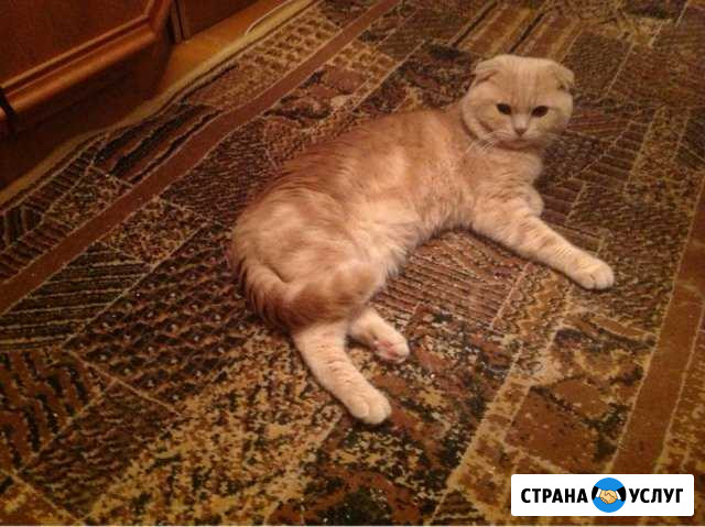 Вязка Скопин - изображение 1