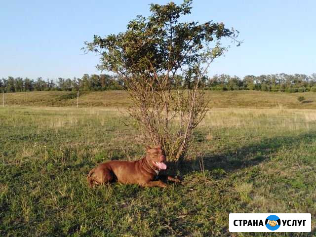 Вязка Таганрог - изображение 1