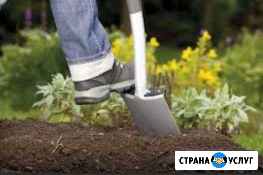 Работы на дачном участке Вологда - изображение 1