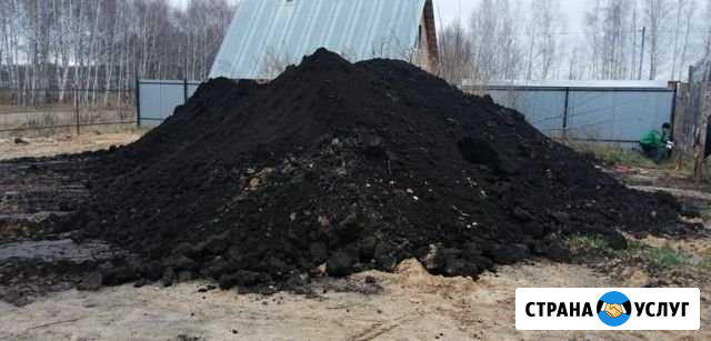 Навоз 5-6летние Волжск - изображение 1