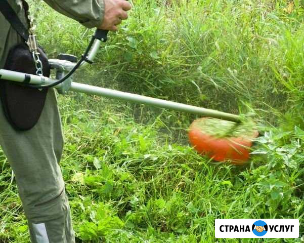 Покос травы Фролово - изображение 1