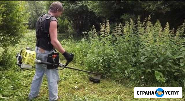 Покос травы Георгиевск - изображение 1