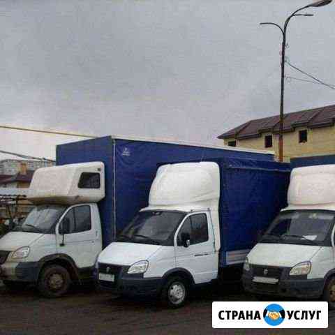 Газель Курган