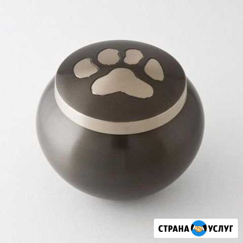 Ритуальные услуги для домашних животных Мурманск - изображение 1