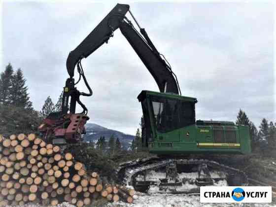 Услуги по заготовке древесины Усть-Кут