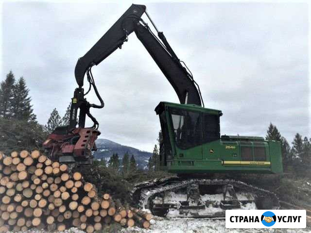 Услуги по заготовке древесины Усть-Кут - изображение 1