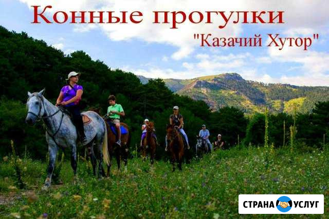 Конные прогулки Ялта Ялта - изображение 1