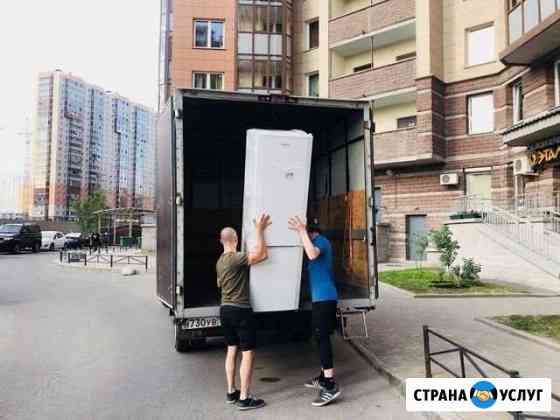 Грузчики / Грузоперевозки Калининград