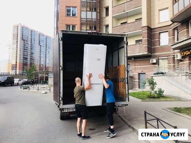 Грузчики / Грузоперевозки Калининград - изображение 1