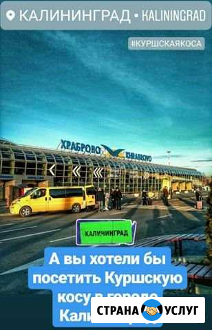 Экскурсии на Куршскую Косу Зеленоградск - изображение 1