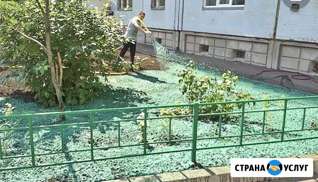 Услуги посева газона гидра газона Белгород - изображение 1