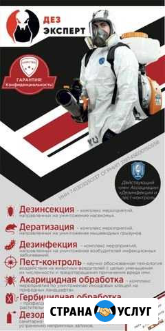 Уничтожение насекомых, грызунов и запахов Кыштым - изображение 1