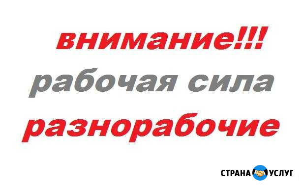Разнорабочие Петрозаводск - изображение 1