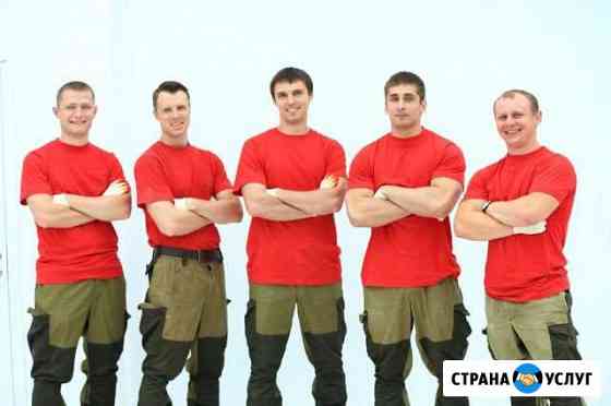 Грузчики Санкт-Петербург