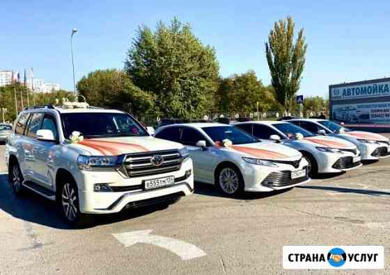 Свадебный кортеж Новые Камри Крузеры Мерсы Волгоград